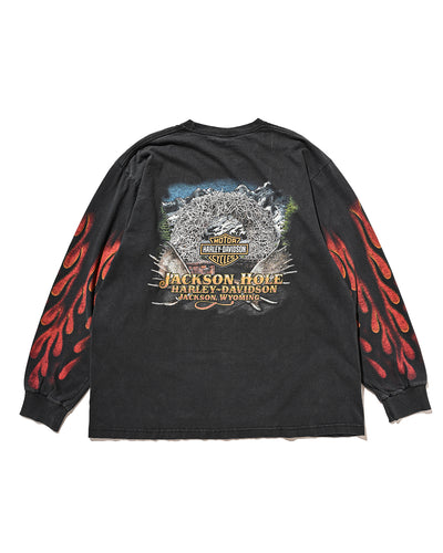 90-00s Harley-Davidson Long Sleeve t-shirt