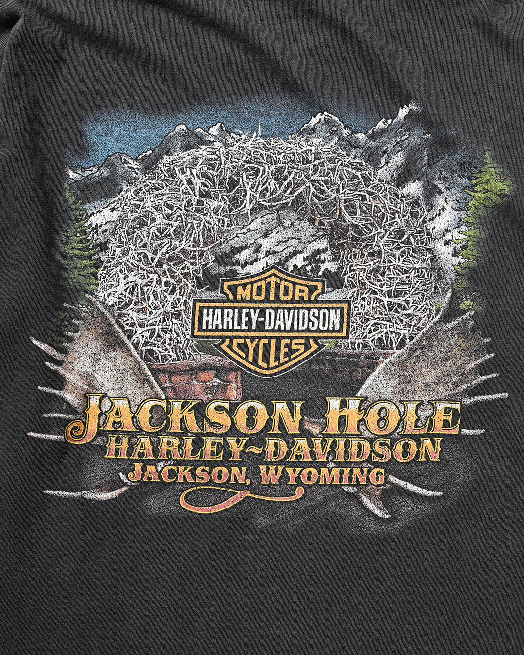 90-00s Harley-Davidson Long Sleeve t-shirt