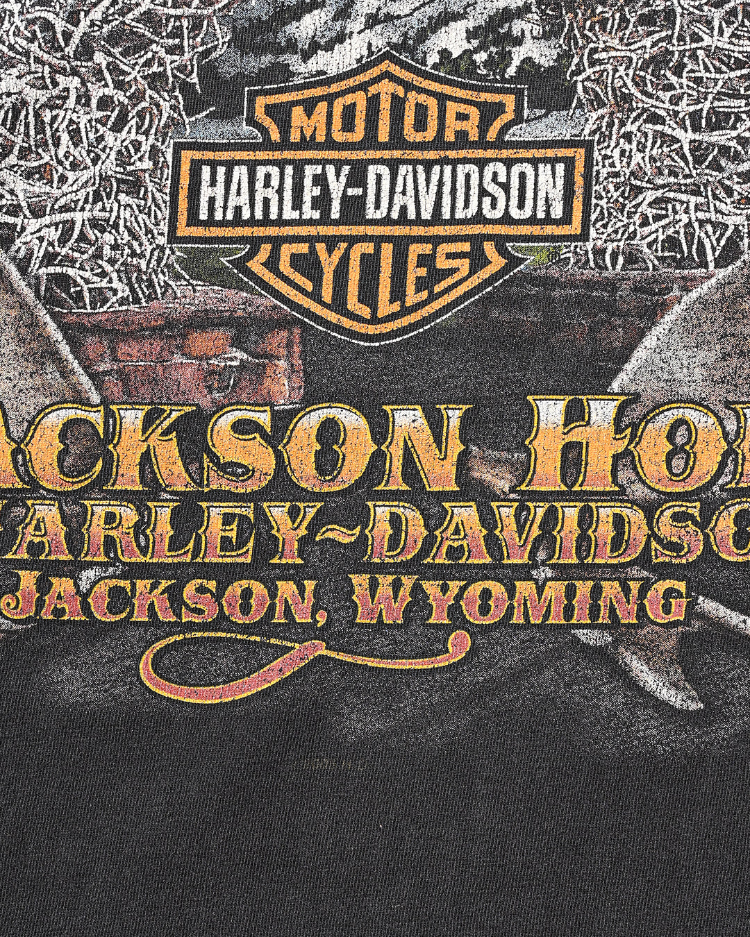 90-00s Harley-Davidson Long Sleeve t-shirt