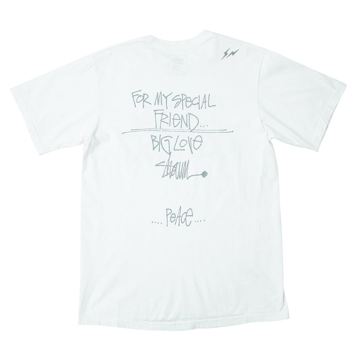 00s ELECTRIC COTTAGE × Stussy t shirt – weber