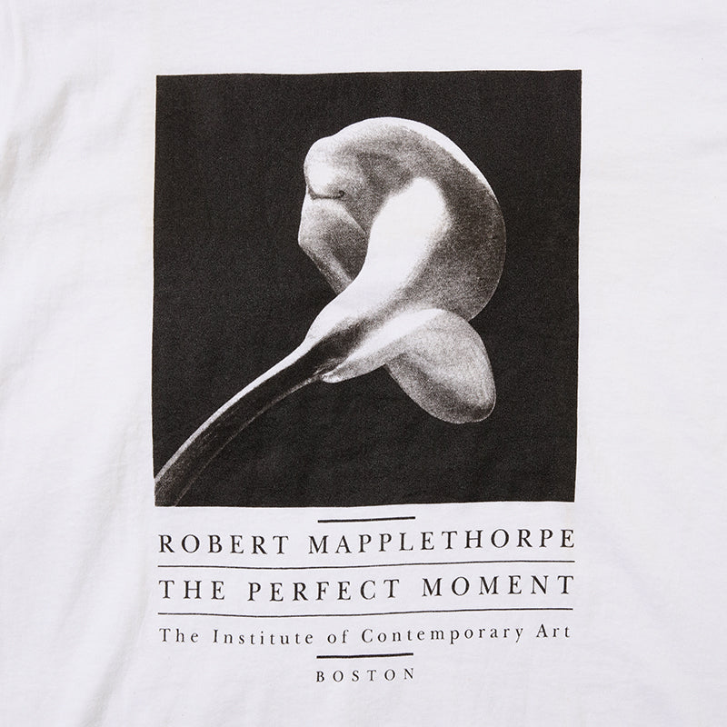 90s Robert Mapplethorpe "The Perfect Moment" t shirt